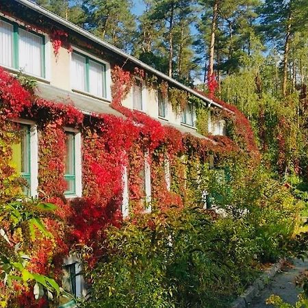 Pension Zur Fledermaus Waren  Buitenkant foto