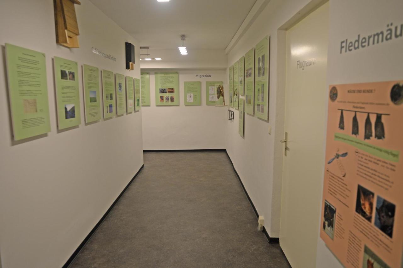 Pension Zur Fledermaus Waren  Buitenkant foto