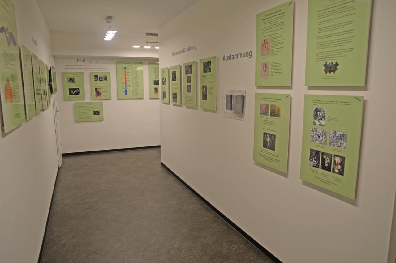 Pension Zur Fledermaus Waren  Buitenkant foto